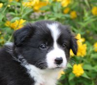 IMG_0576 50